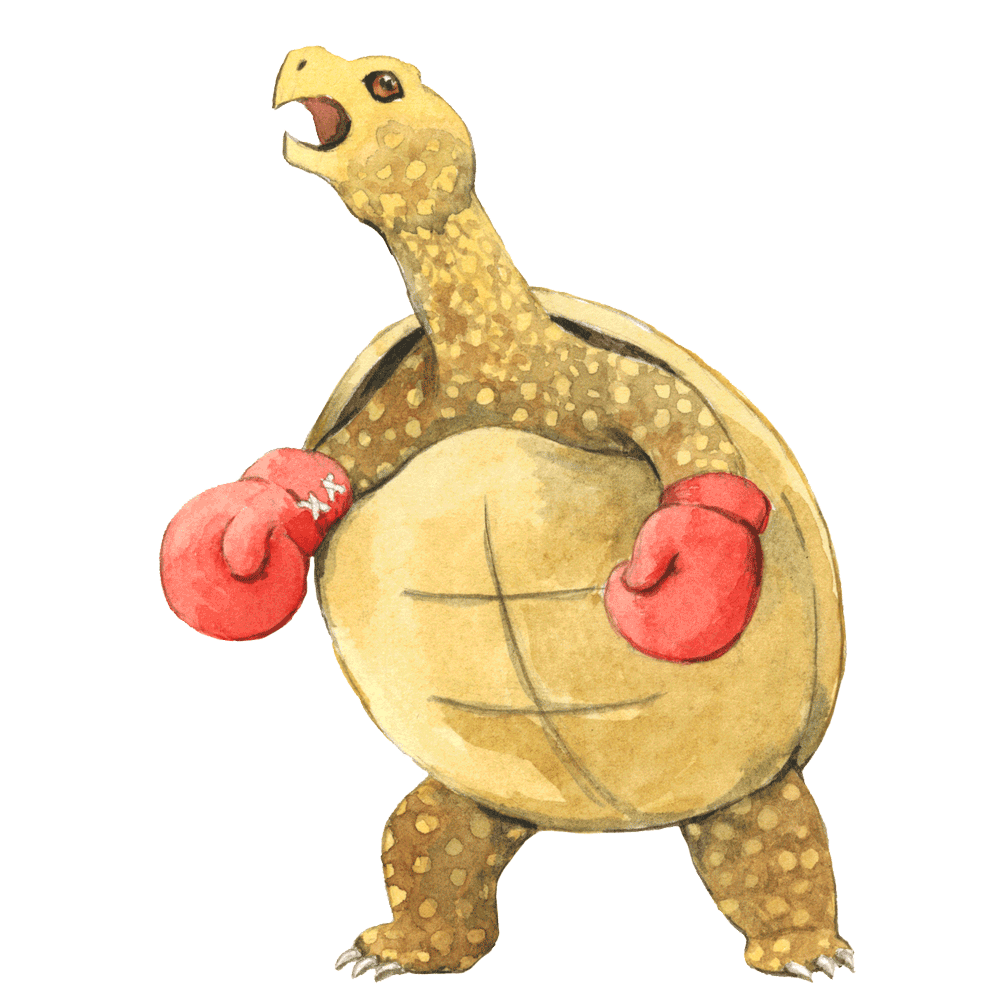 Fighting Turtle