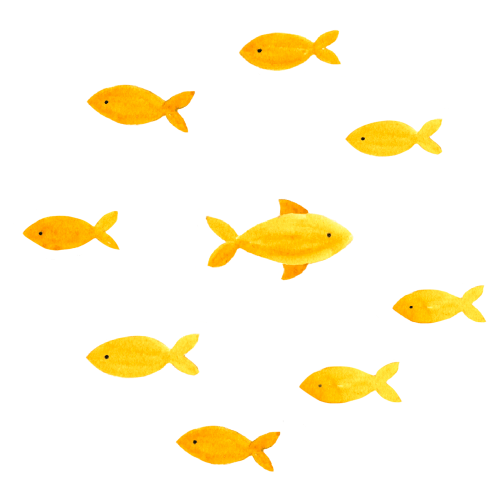 School of goldfish